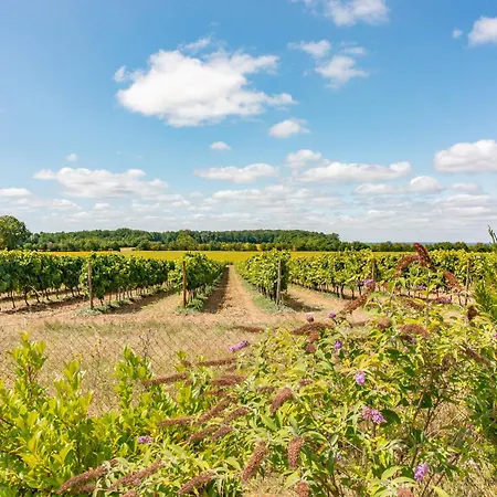 Дом отдыха Charming Countryside Retreat - Up To 11 People Macqueville